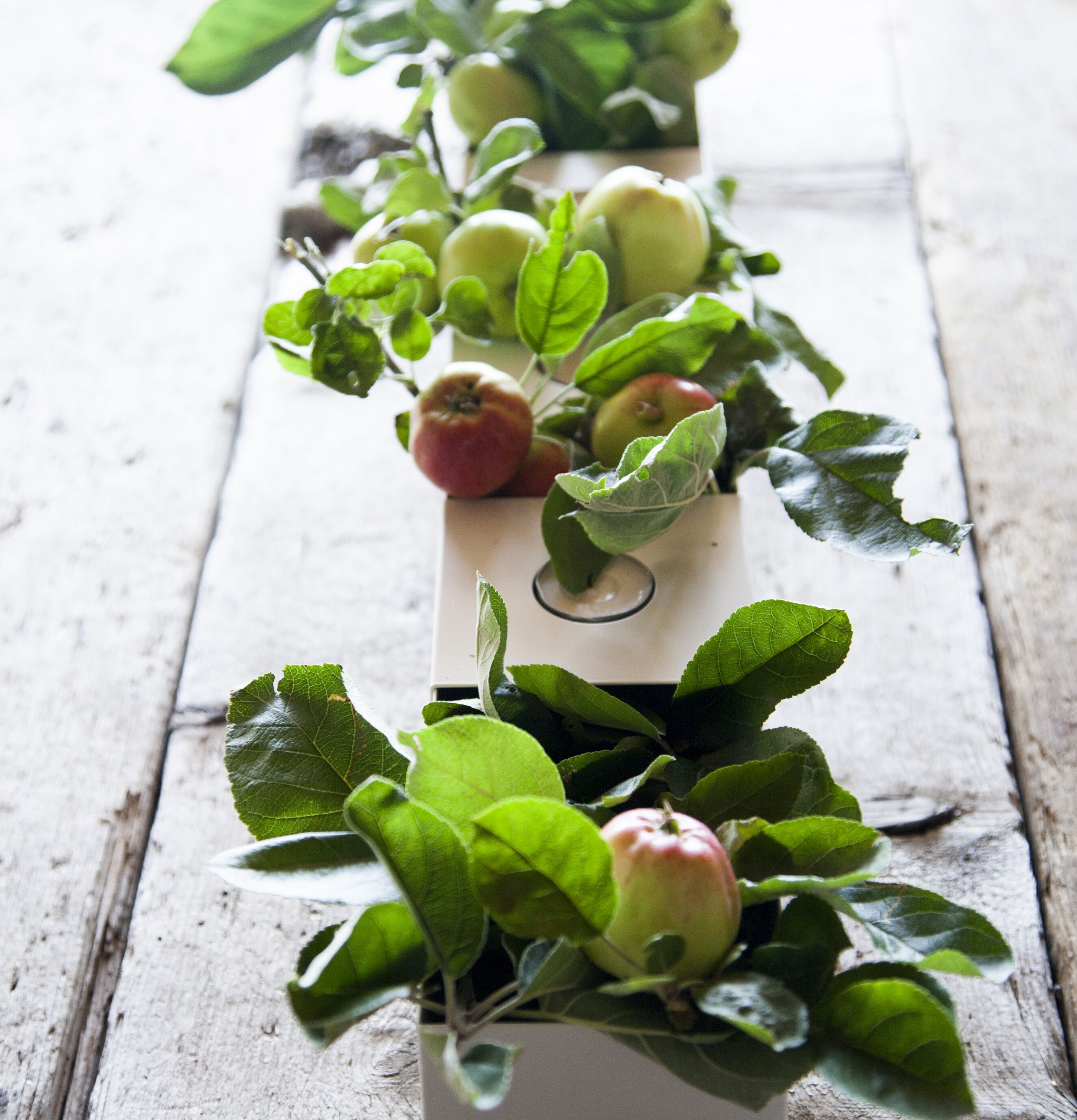 Bild av stilren design med naturinslag och harmoni