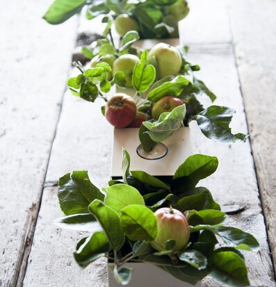 Bild av stilren design med naturinslag och harmoni