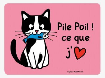 Bild av lekfullt underlägg med katt och rosa bakgrund