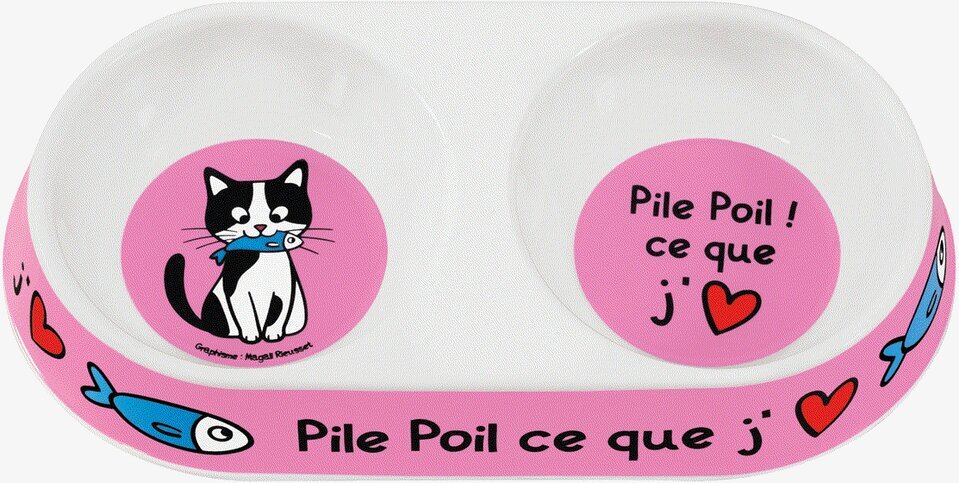 Bild: Dubbelskål för katter med lekfull design och färg