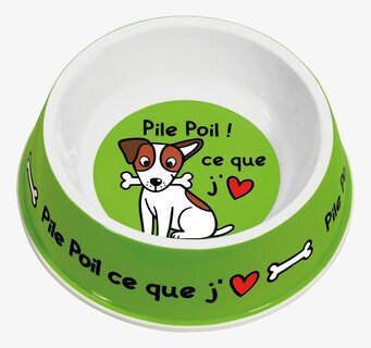 Bild av färgstark och funktionell hundskål i grönt