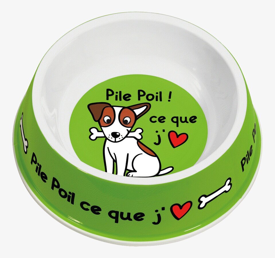 Bild av färgstark och funktionell hundskål i grönt