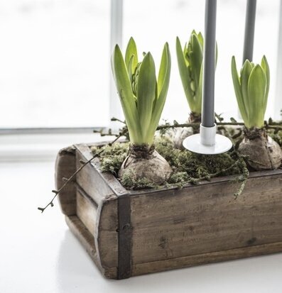 Bild av stilfull inomhusscen med rustik trälåda