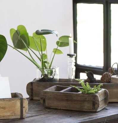 Bild av rustik inredning med murstensform och växter