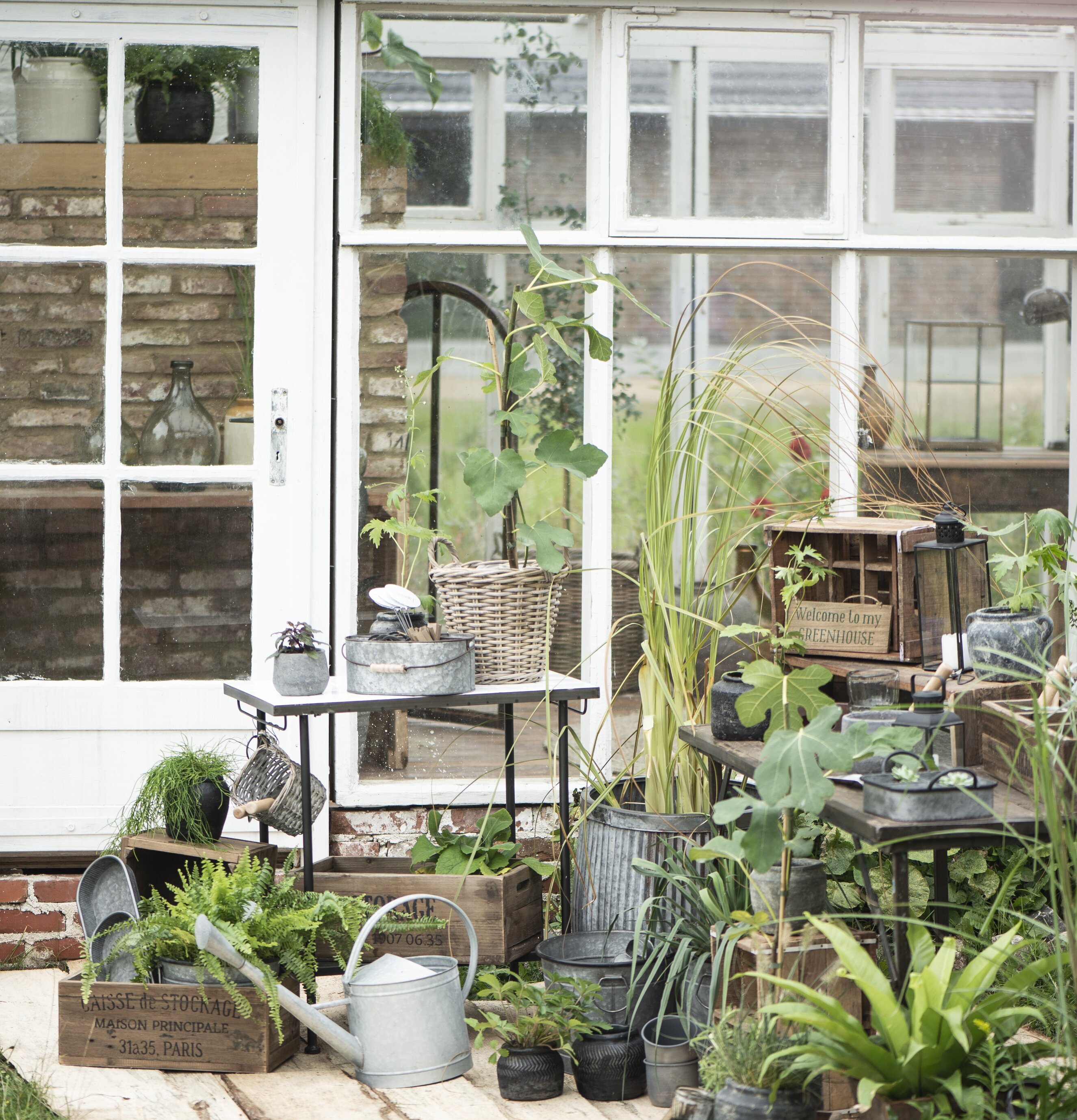 Zinkkorg Med Handtag från IB Laursen i frodig trädgård