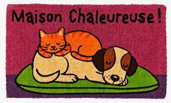 Bild av livfull dörrmatta med hund och katt motiv