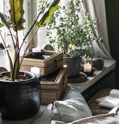 Bild av harmonisk interiör med plåtburkar och växter