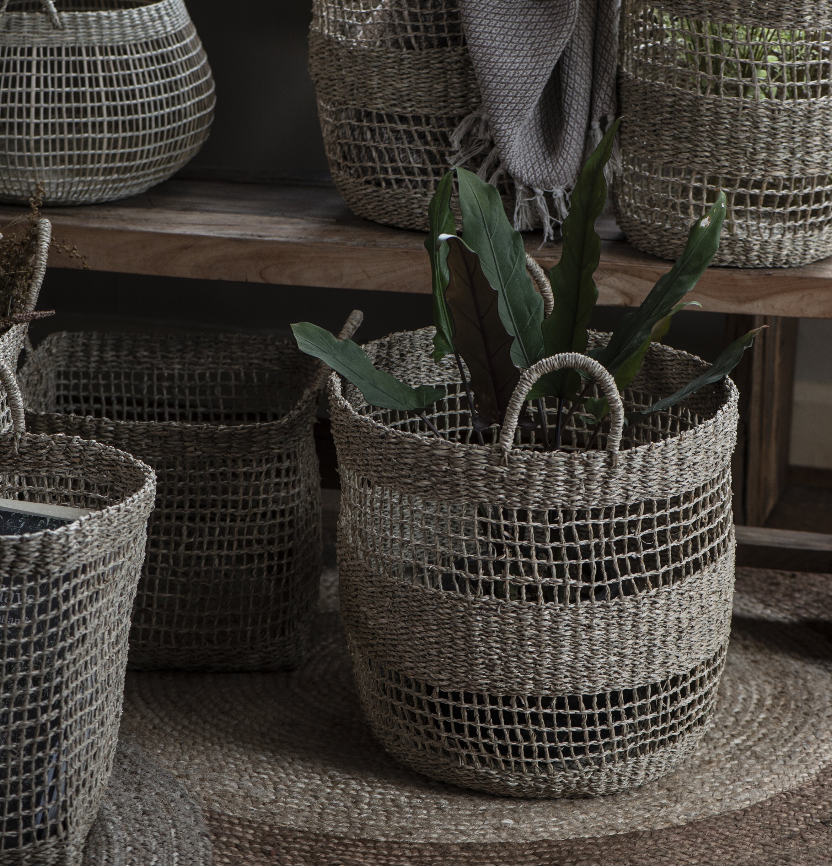 Bild av korgar i harmonisk och ljus butiksinteriör