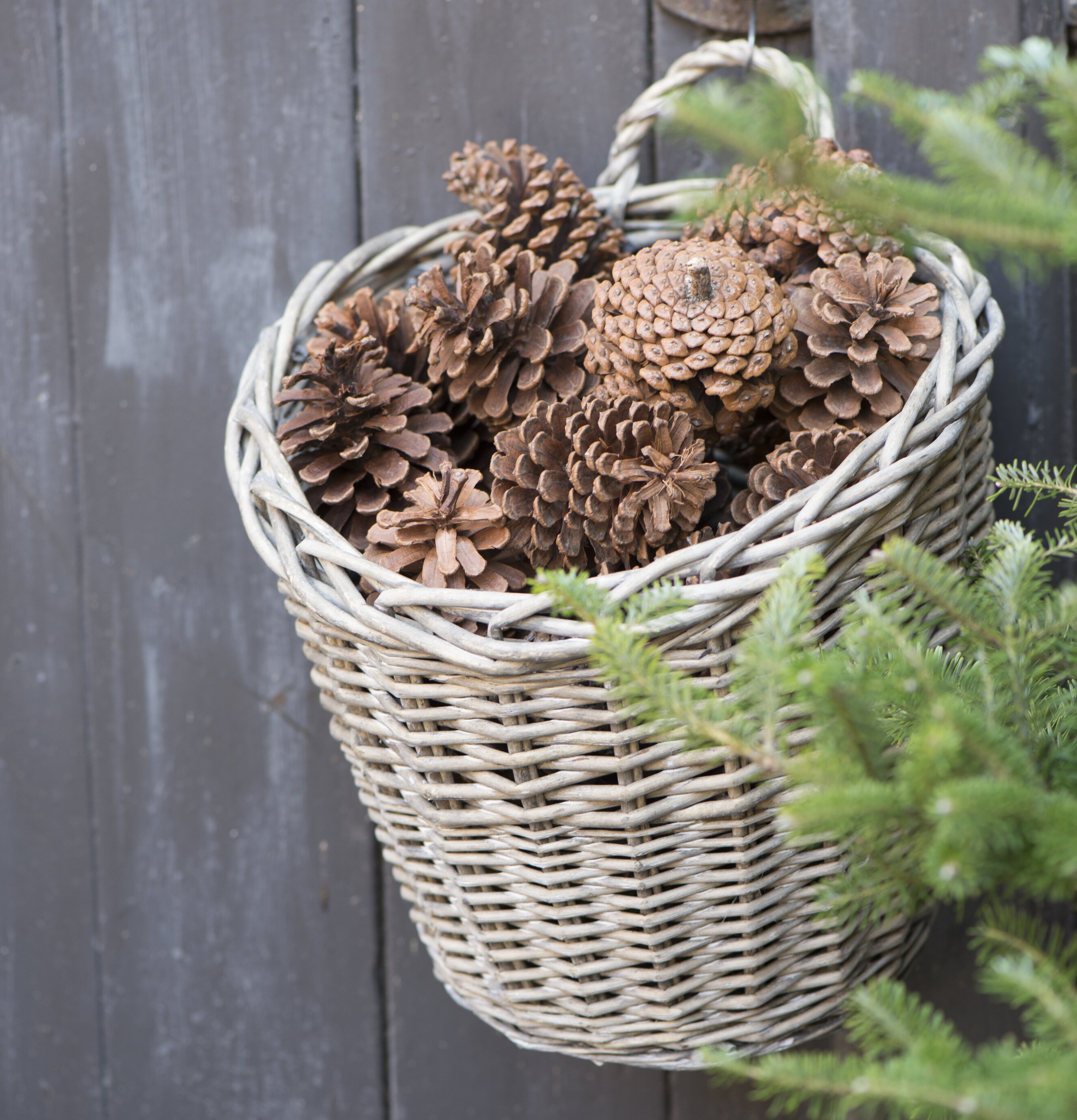 Väggkorg Vide från IB Laursen på mörk trävägg med kottar