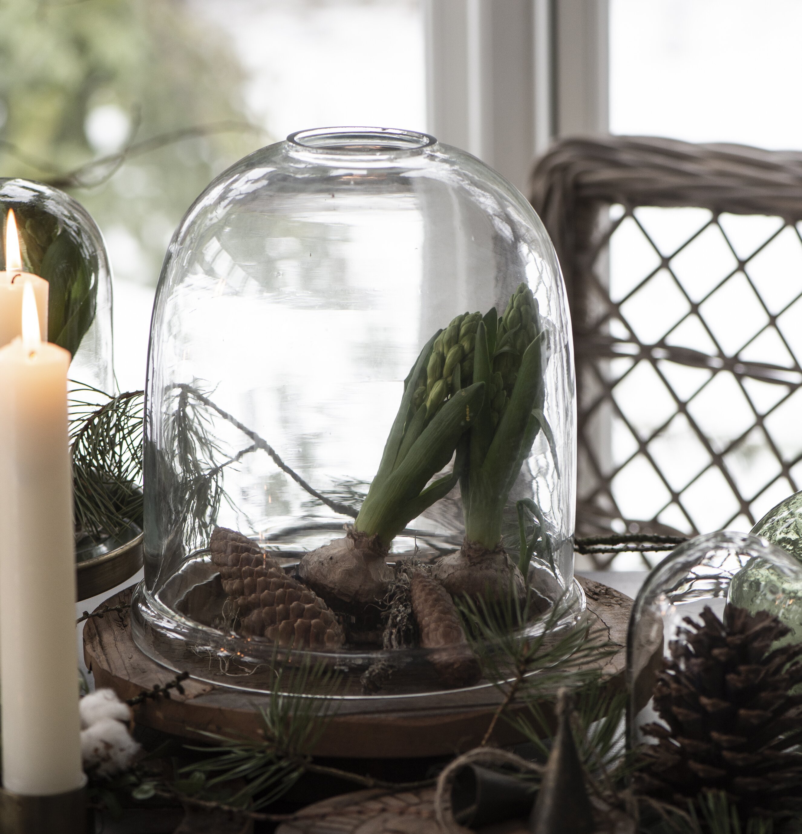 Bild av dekorativt arrangemang med glaskupa och ljus