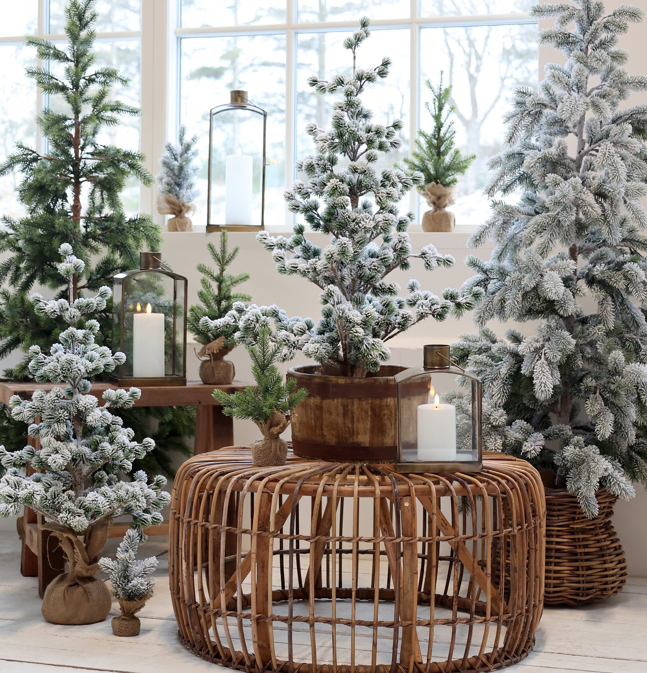 Bild av harmonisk inredning med natur och design