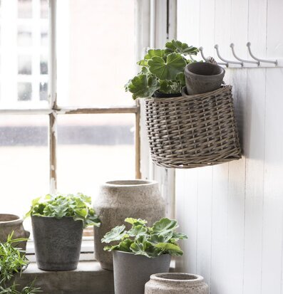 Bild av ljus lantlig inredning med gröna växter