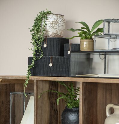 Bild av stilfull inredning med naturliga element