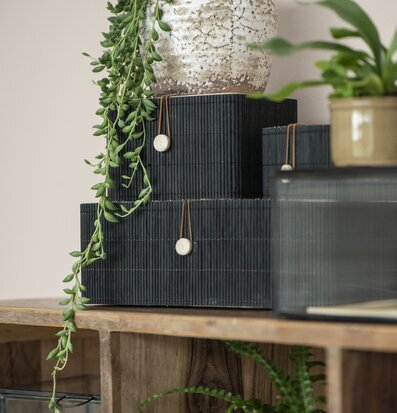 Bild av elegant arrangemang med naturliga toner
