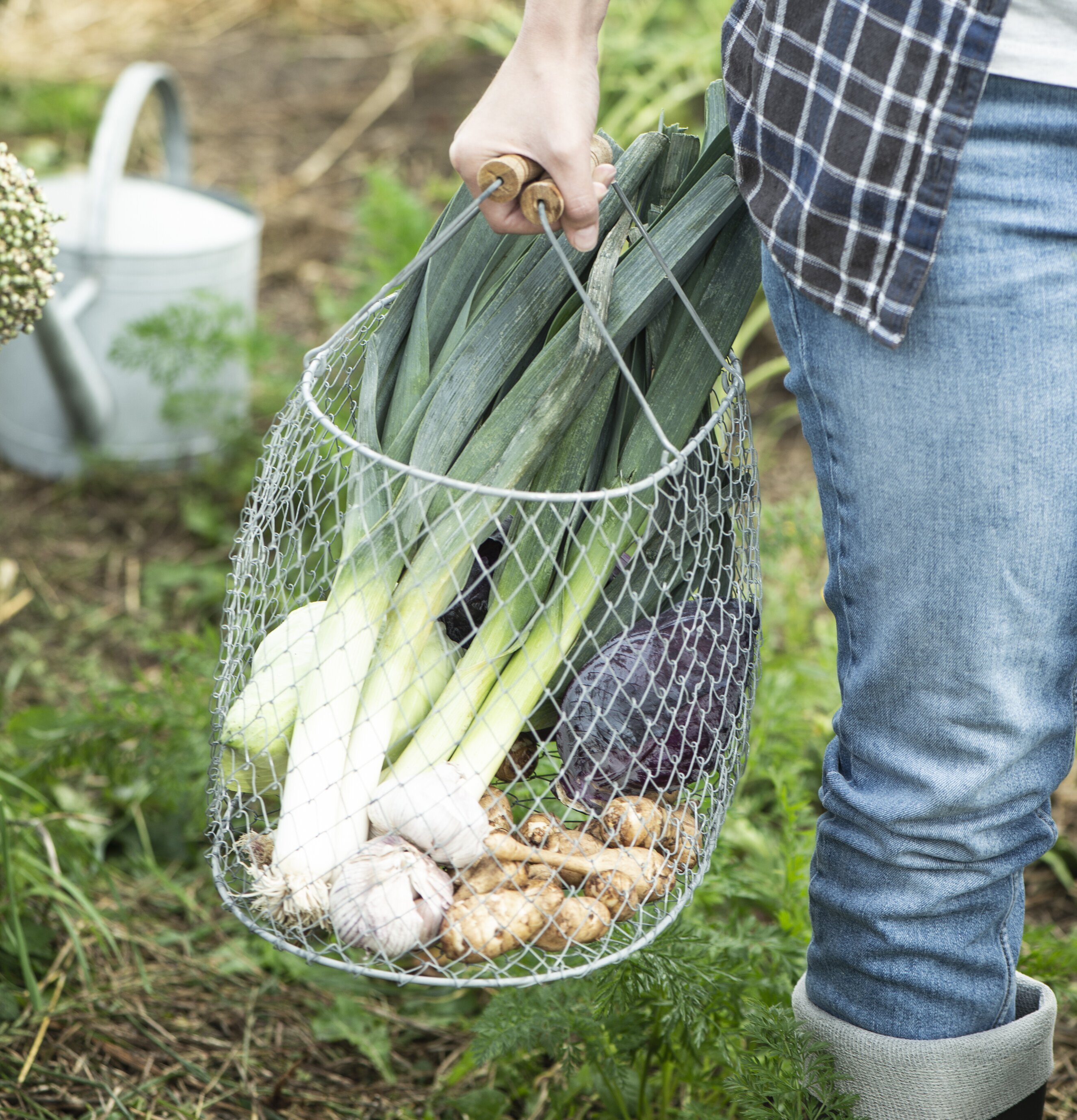 Vikbar Trådkorg Med Handtag från IB Laursen i trädgården
