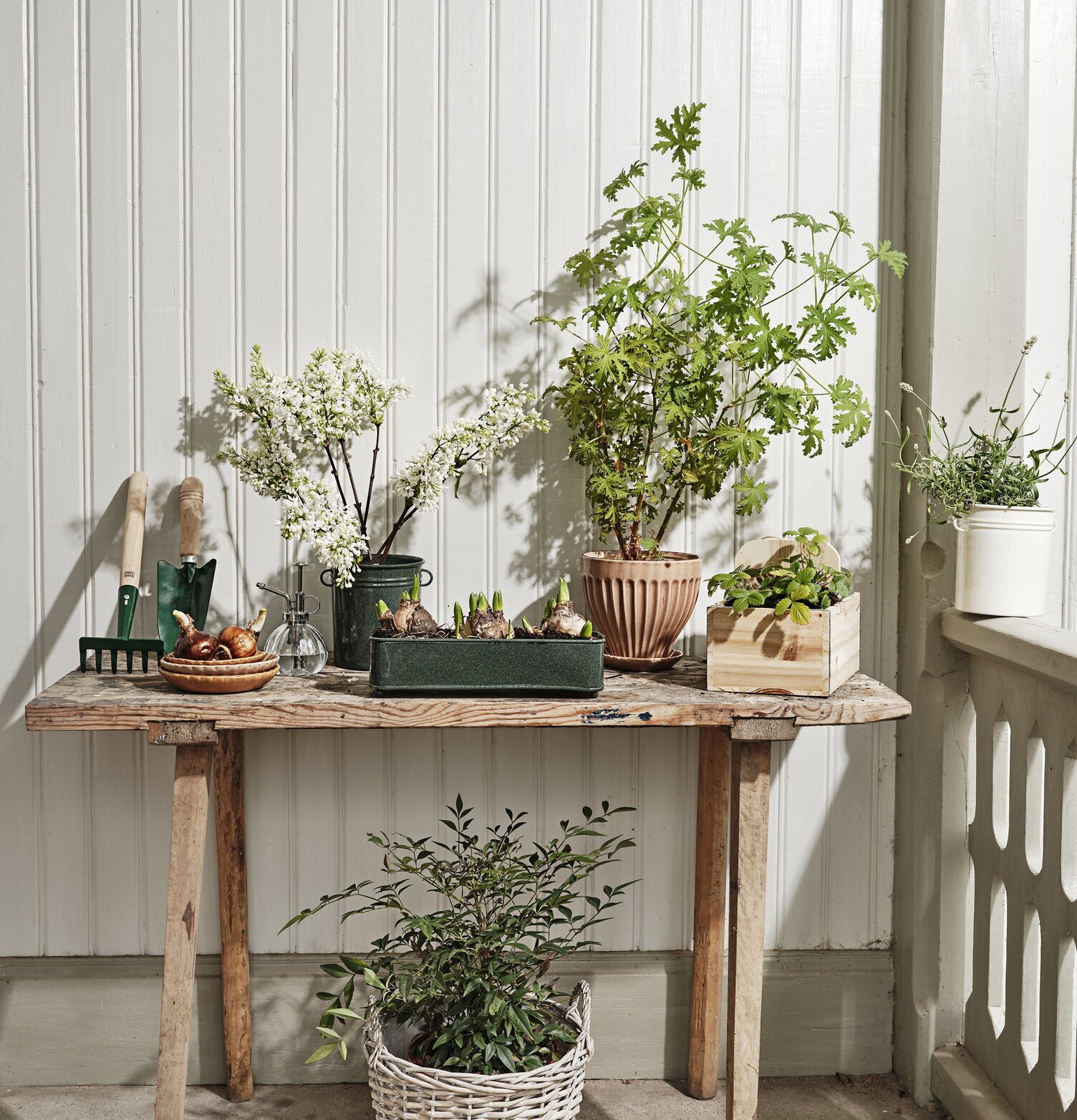 Redskapsburk Ingrid Grön från Strömshaga på trädgårdsbänk