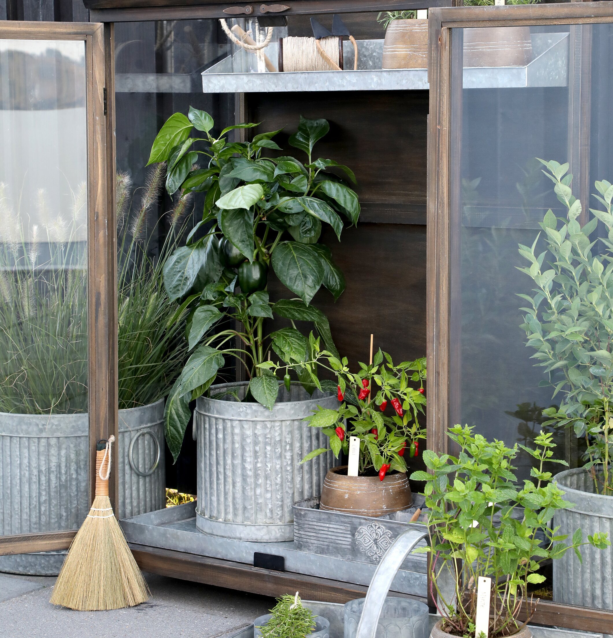 Bild av elegant displaykåpa i stämningsfull trädgård