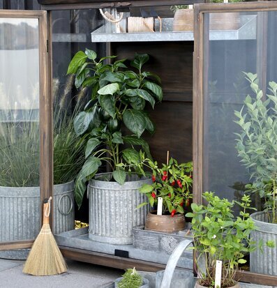 Bild av elegant displaykåpa i stämningsfull trädgård