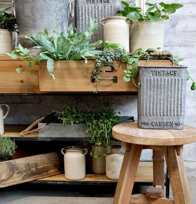 Bild av rustik zinkförvaring med grönska och trädetaljer