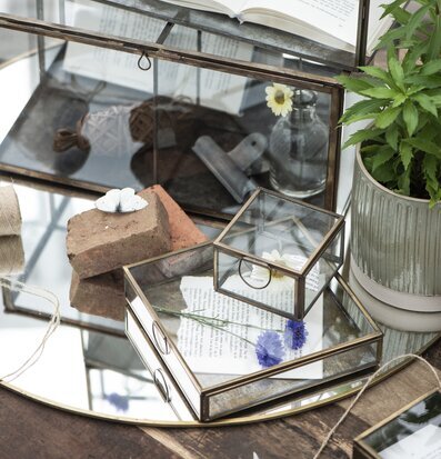 Foto av stilfull komposition med glas och växter