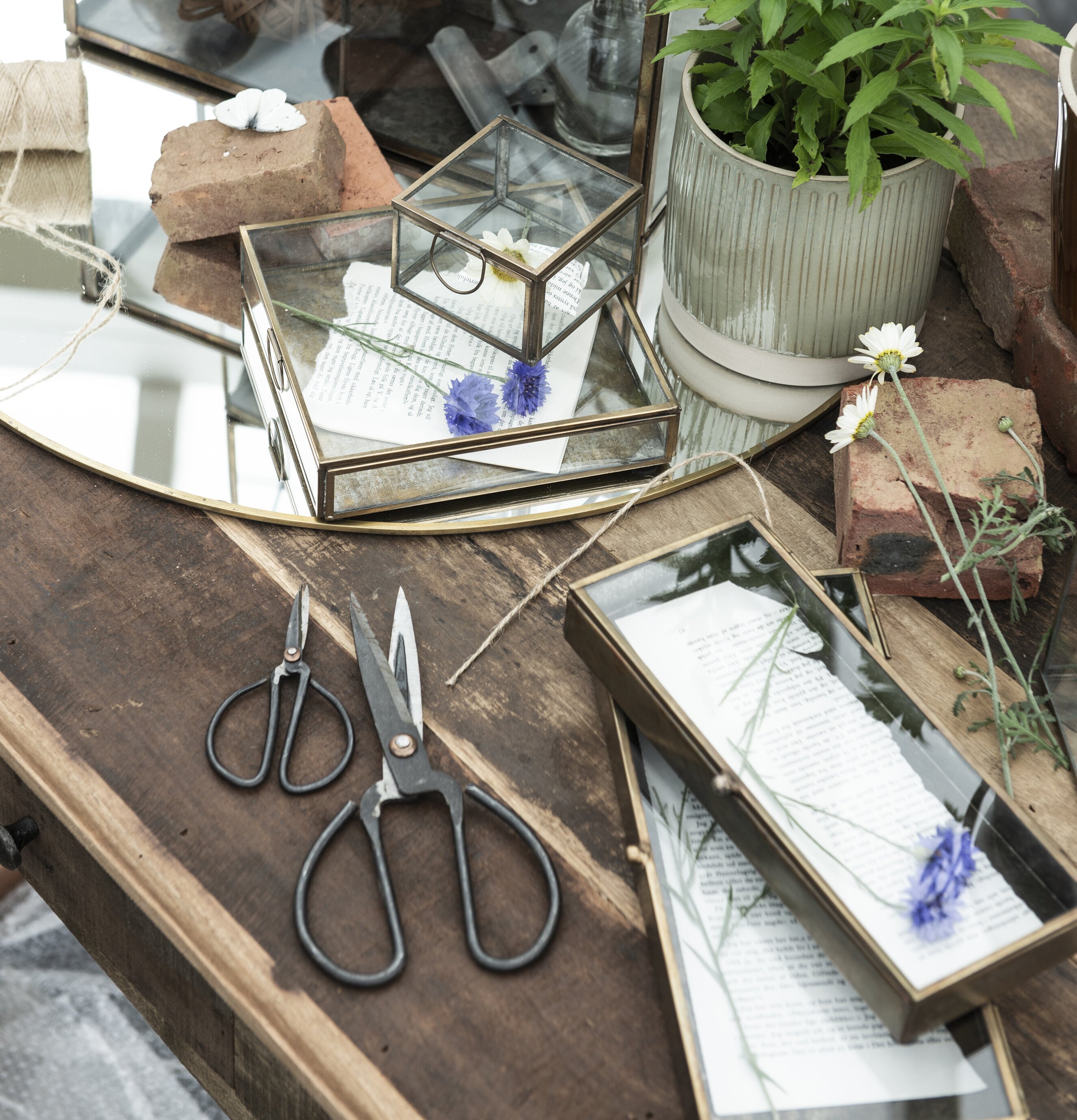 Bild av harmonisk scen med glasboxar och naturliga element