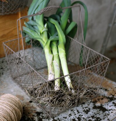 Bild av rustik nätkorg med purjolökar och jutesnöre