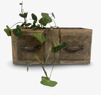 Bild av rustik trälåda med metallhandtag och växter