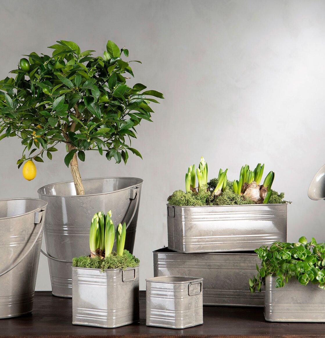 Kruka Kvadrat Greige Set/2 från A Lot Decoration på träbord