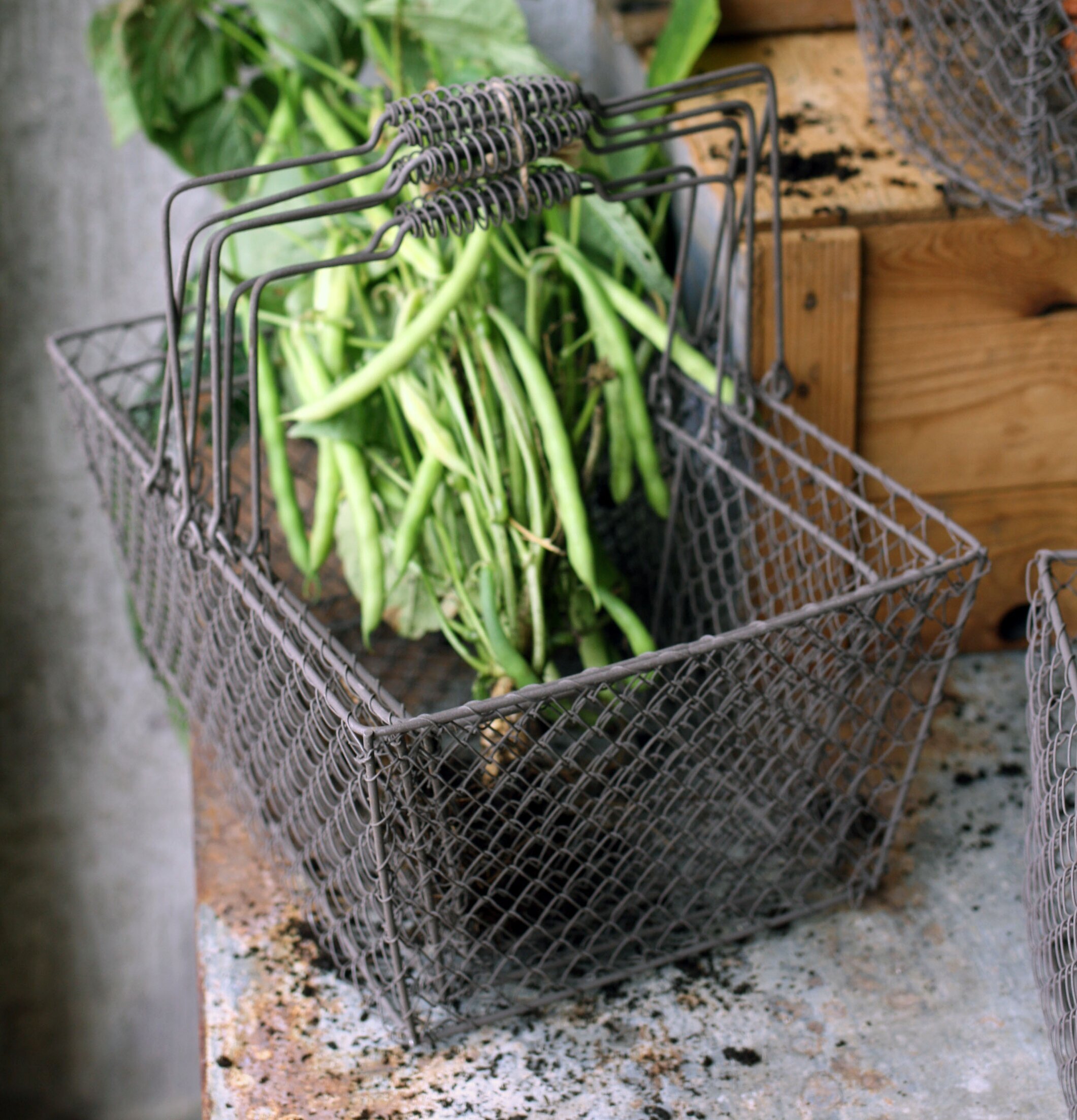 Nätkorg Set/3 Med Handtag från Västanvinden fylld med bönor