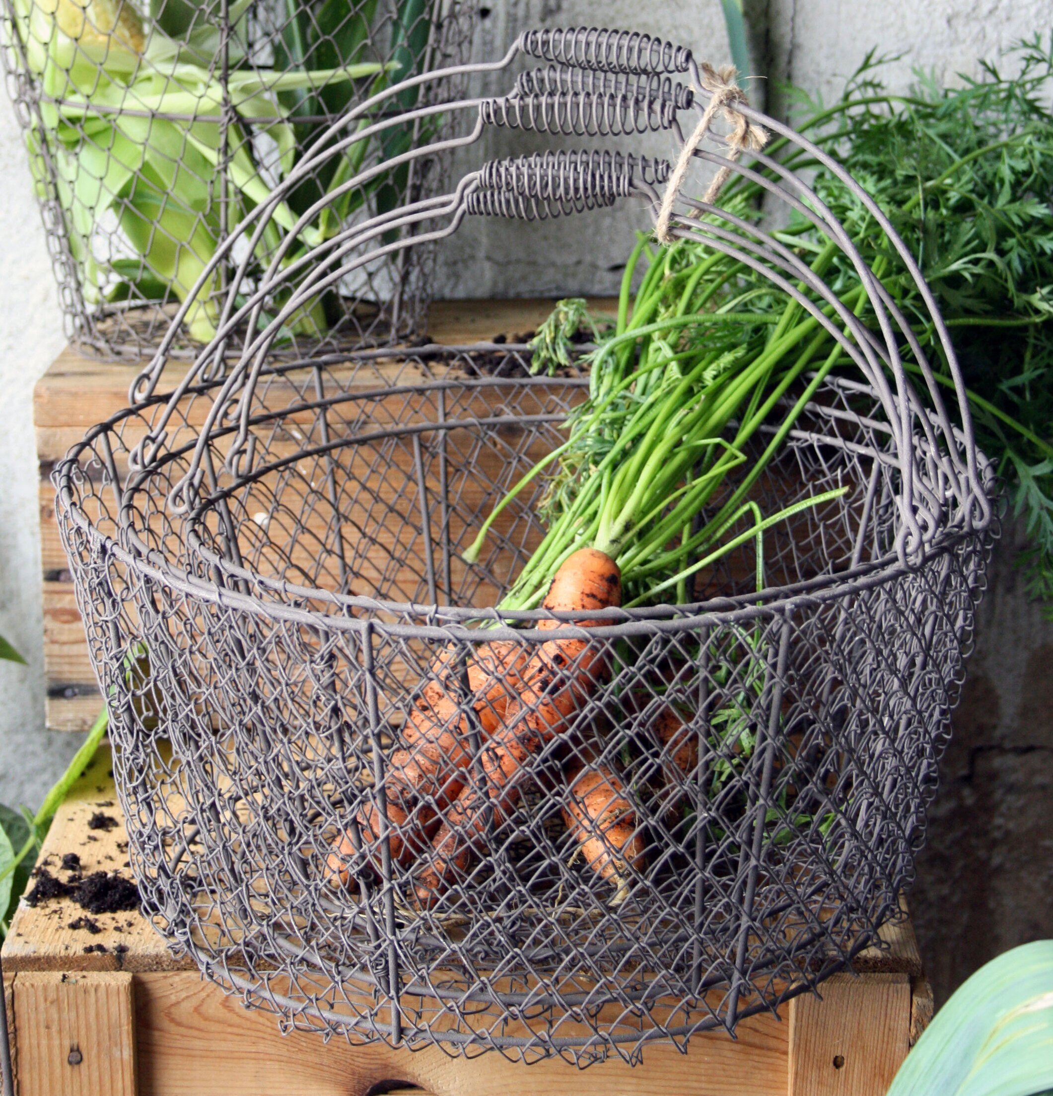 Foto av charmiga nätkorgar med handtag och grönsaker