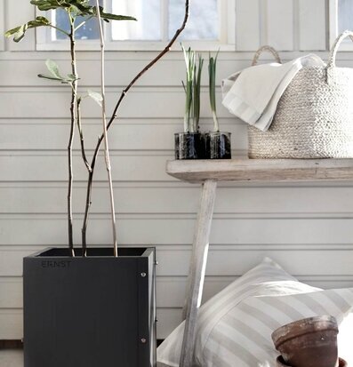 Bild av harmoniskt rum med naturliga och stilrena detaljer