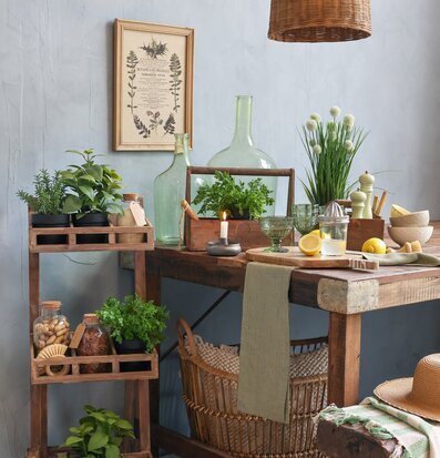 Bild av hemtrevlig butiksmiljö med harmonisk atmosfär