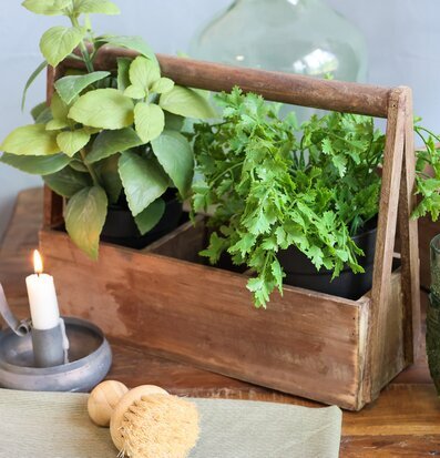 Bild av rustik trälåda med växter och ljusdetaljer