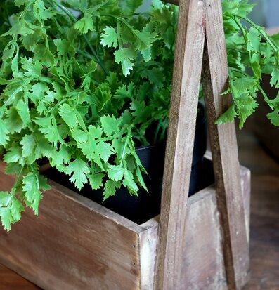 Foto av rustik trälåda med handtag och grön växt