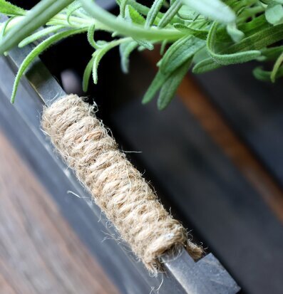 Bild på trälåda med jutesnöre och gröna örter – närbild