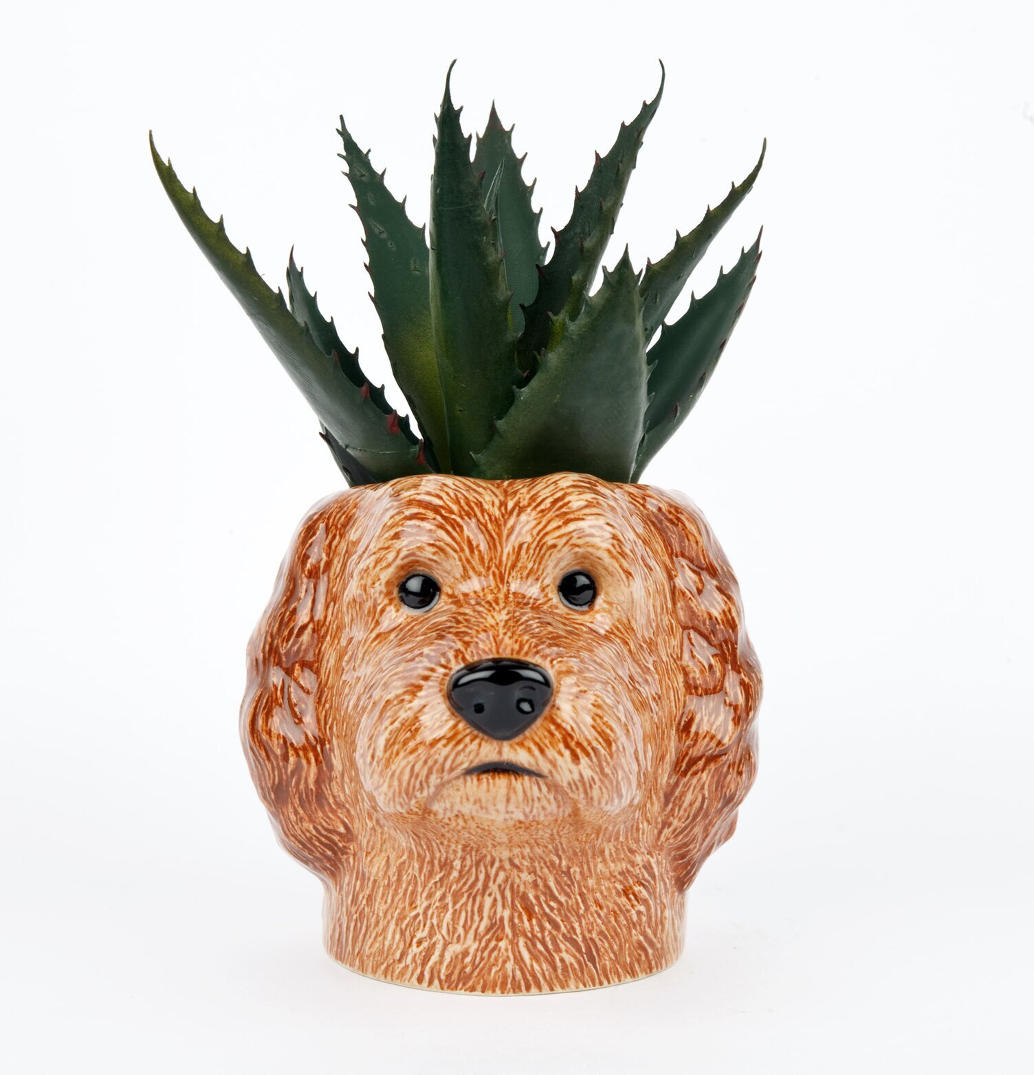 Bild av cockapoo-kruka i keramik med växt och djurmotiv