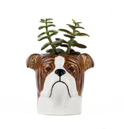 Bild på keramikkruka bulldog med grön växt och glansig finish